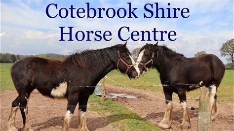 Cotebrook Shire Horse Centre